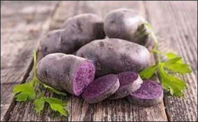 Quel est le nom de cette variété de pomme de terre ?