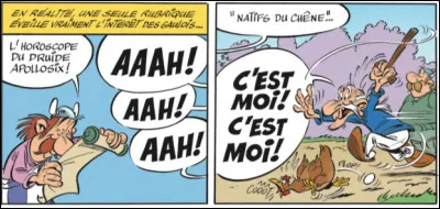 Du côté de la forêt des Carnutes, le druide Apollosix nous prédit...