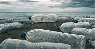 Quel est le temps estimé de décomposition dans la nature des bouteilles en plastique ?