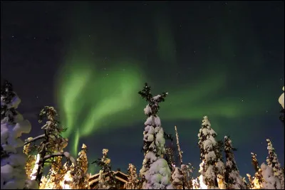 Quel nom donne-t-on au type de forêt s'étendant dans les régions boréales de la planète ?