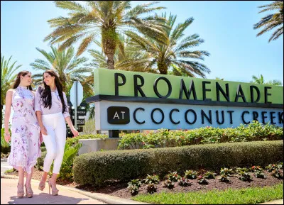 Que veux-tu faire de ta vie ?