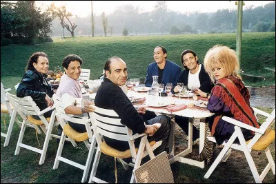 Quelle est cette comédie où les membres d'un groupe alternatif se retrouvent 20 ans après pour un week-end à la campagne ?