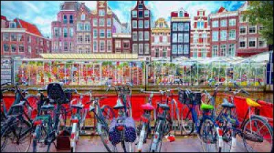 Lieu d'exception : Quelle est la particularit&eacute; du march&eacute; aux fleurs appell&eacute; Bloemenmarkt ?