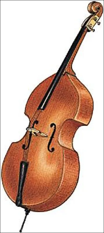 Quel est cet instrument ?