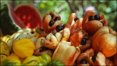 Tu entends tes parents rentrer des courses. 
Ils te demandent de ranger la nourriture.
Que décides-tu de faire ?