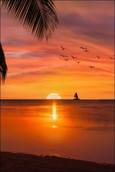 Le soir arrive. Instinctivement, tu regardes par la fenêtre et découvres un magnifique coucher de soleil.
Que ressens-tu à cet instant ?