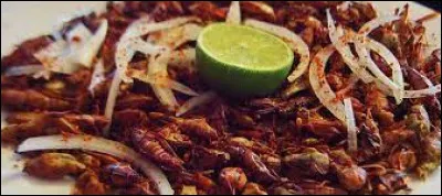 Dans quel pays peut-on déguster des criquets frits appelés "chapulins" ?