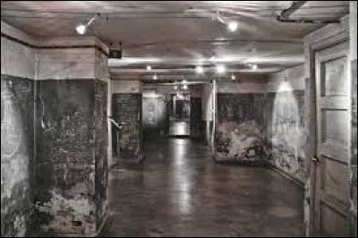 Lieu d'exception : À quoi servait cet endroit baptisé "Korai 4" et qui aujourd'hui est un musée ?