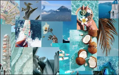 Où est née Angèle ?