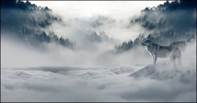 Il fait très froid dehors, il fait un froid de...