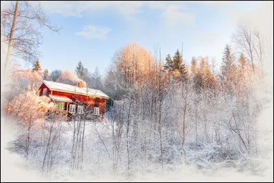 Dans ce pays, pour dire ''Joyeux Noël'', ils disent...