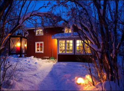 Quel chiot préfères-tu ?