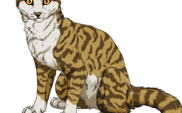 Quiz Erin hunter