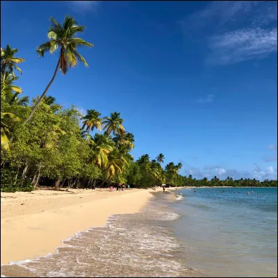 Dans quel endroit aimerais-tu vivre ?