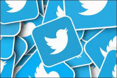 People : Quel milliardaire a racheté Twitter en 2022 ?