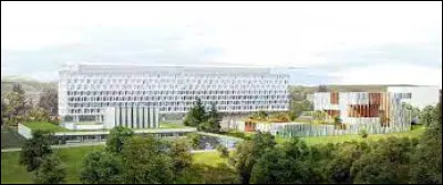 Politique : Laquelle de ces institutions ne siège pas à Genève ?