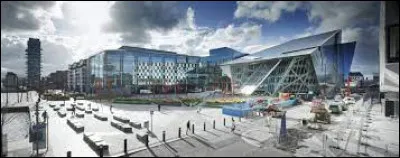 Économie : laquelle de ces entreprises n'a pas son siège européen à Dublin ?