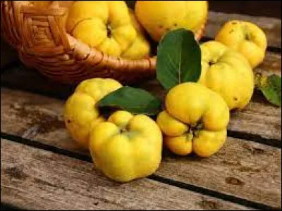 Que contiennent les coings ?