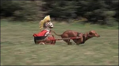 Cinéma : 
Péplum sorti en salle en 1959, "Ben-Hur" est un film du réalisateur américain William Wyler. Combien d'oscars reçut ce long métrage en 1960 ?