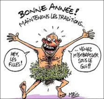 Plante / langue étrangère : 
Noël et le jour de l'An sont passés, et on s'est s'embrassé, selon la tradition, sous une branche de gui. Mais comment le dit-on en espagnol ?