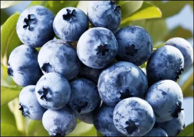 Quel est ton fruit préféré ?