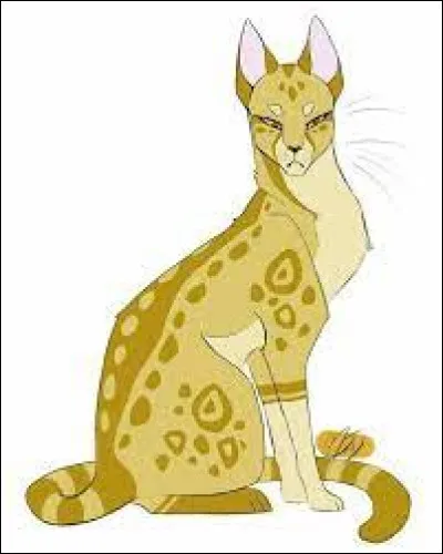 Quel était le secret d’Étoile du Léopard ?