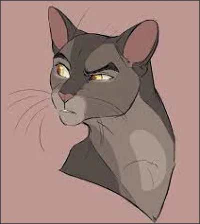 Qui a brisé le cœur de Poil de Souris ?