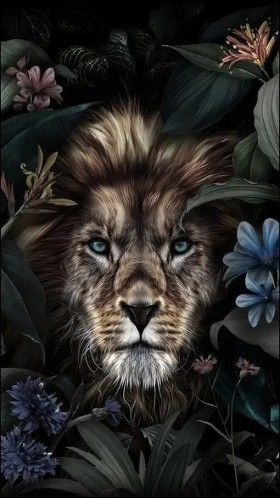 Qui est l'auteur du roman "Le Lion" ?