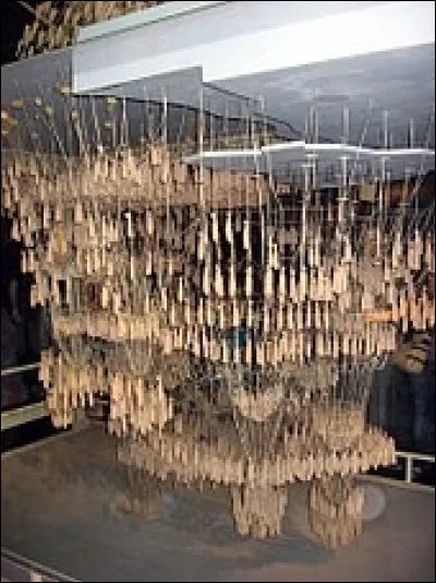 Cette basilique repose sur une technique de construction en béton armé dont la forme s'inspire de chaînes à l'envers. 
Comment nomme-t-on cet art ?