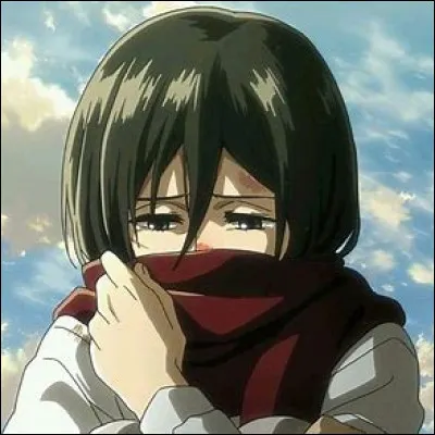 Quel est le nom de famille de Mikasa ?