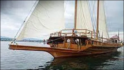 Lequel de ces champignons n'est pas comestible ?