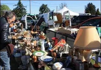 Quel est le pays le plus grand producteur de champignons ?