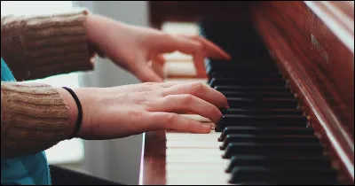 Quel est cet instrument ?