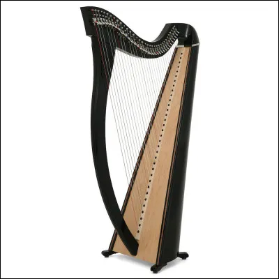 Quel est cet instrument ?