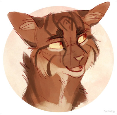 Où aimerais-tu le plus partir en vacances, parmi ces propositions ?