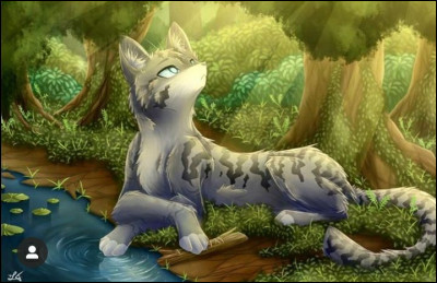 Quels personnages de la Guerre des clans préfères-tu entre ceux-là ?