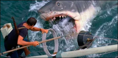 "Les Dents de la mer" se déroule...