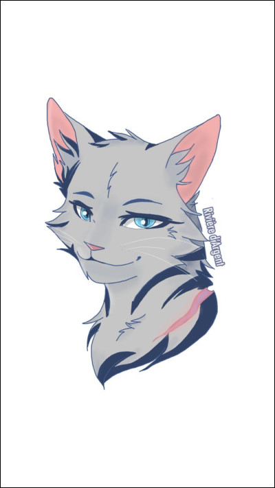 Qui est la deuxième compagne de Plume Grise ?