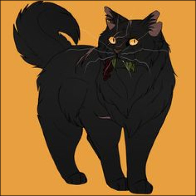 Qui est la compagne dÉtoile Grise ?