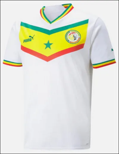 Plutôt coloré celui-ci ! À quelle sélection appartient ce maillot ?