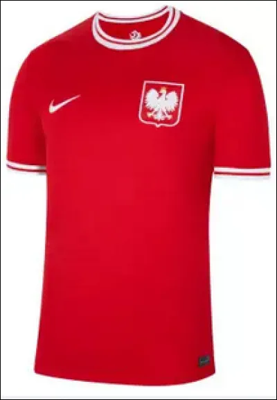 On passe en Europe. À quelle sélection appartient ce maillot ?