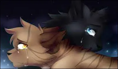 Qui ont été les enfants de Feuille de Lune ?