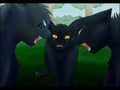 Est-elle en colère contre Belle de Nuit car elle est la compagne de Plume de Jais ?