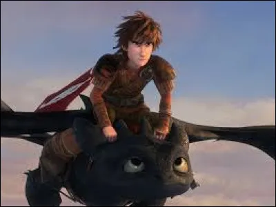 Une nouvelle décennie commence. J'ai 5 ans et nous sommes actuellement en 2010. Cette année a marqué mon département (le Var) par de terribles inondations et a marqué mon esprit avec la sortie du film d'animation "Dragons" qui est toujours, à l'heure actuelle, mon uvre cinématographique préférée. Quelle partie de son corps le personnage principal perd-il à la fin ?