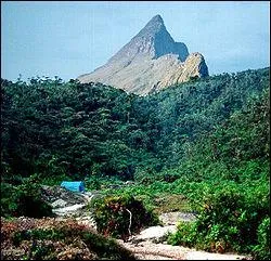 Point culminant du Brsil, avec prs de 3 000 m, situ dans l'Etat d'Amazonas, mon nom signifie 'Pic du brouillard' en franais, je suis :