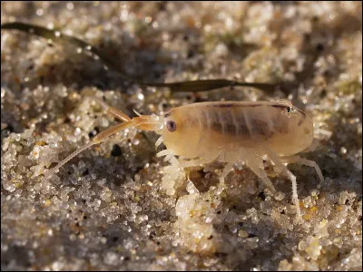 A de la bouteille, c'est le...