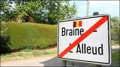 Que signifie l'expression québécoise : "J'ai le hamster qui roule dans ma tête" ?