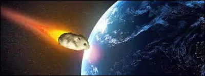 Qu'est-ce qu'un hamster dans l'espace ?
