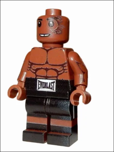 Quel est ce personnage ?