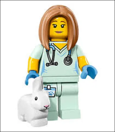 Quel est le métier du personnage ?